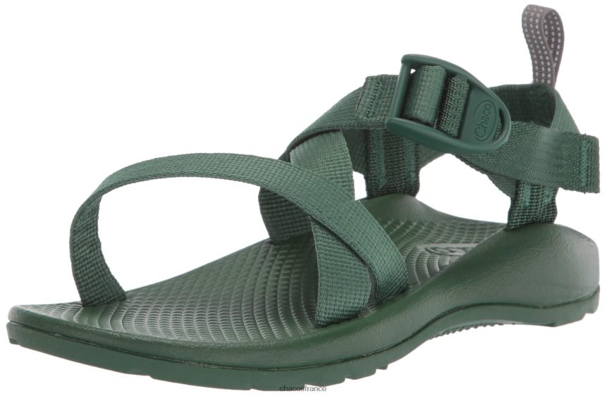 Chaco 4200P8418 enfants chacos enfants z1 ecotread sandale pâturages