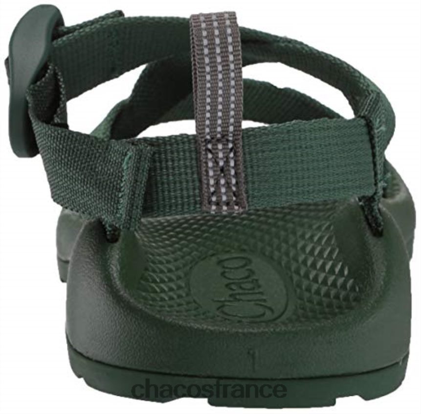 Chaco 4200P8418 enfants chacos enfants z1 ecotread sandale pâturages