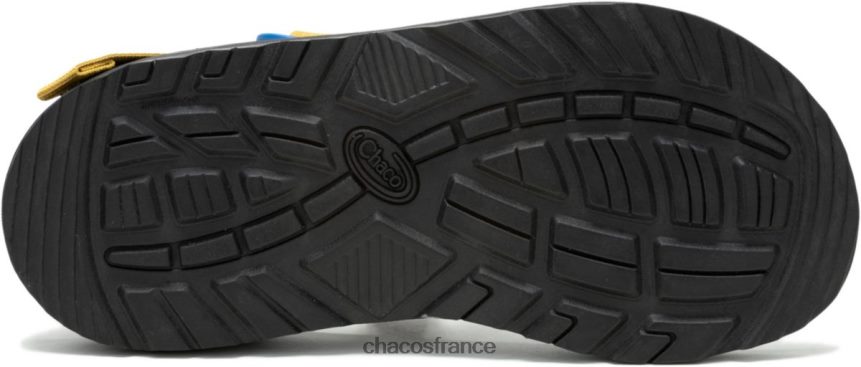 Chaco 4200P817 femmes chacos bleus fruités de la collection z/1 classic Harvest pour femmes fruit bleu