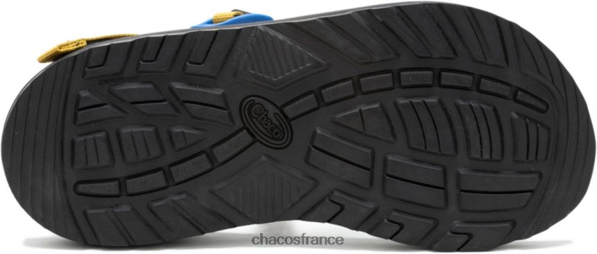Chaco 4200P819 femmes Chacos Fruit Blue Collection Z/2 Classic Harvest pour femme fruit bleu