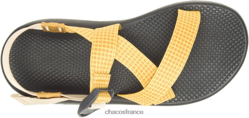 Chaco 4200P8194 Hommes collection de récolte classique z/2 pour hommes chacos narcisse narcisse