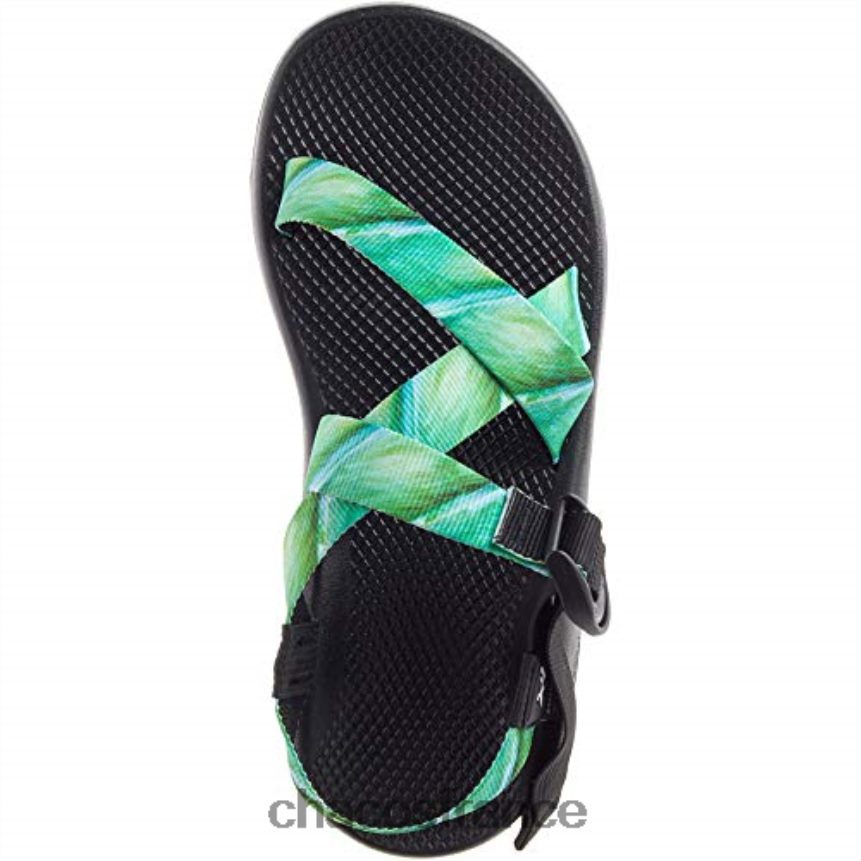 Chaco 4200P8422 Hommes chacos jobfish sandales classiques z1 pour hommes